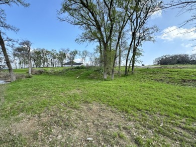 Waterfront Lot w/Boathouse on Richland Chambers Lake! - photo 23