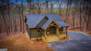 Toccoa River - Fannin County Home For Sale in Blue Ridge Georgia