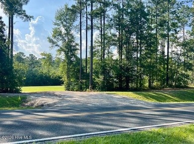 Close to Emerald Isle, GOLF, BOATING, HIKING, and more! Large - photo 4