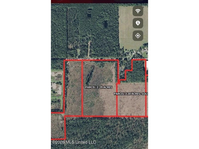 Located on Bayou Cumbest Road in Moss Point, this 29-acre - photo 1