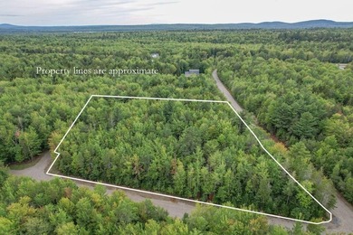 Beautiful Elevated Lot just outside the City of EllsworthThis 4 - photo 1