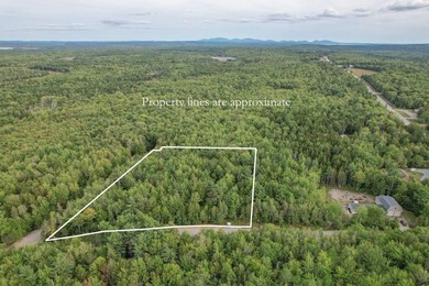 Beautiful Elevated Lot just outside the City of EllsworthThis 4 - photo 3