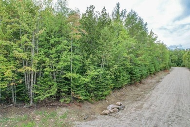 Beautiful Elevated Lot just outside the City of EllsworthThis 4 - photo 5