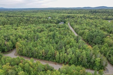 Beautiful Elevated Lot just outside the City of EllsworthThis 4 - photo 7
