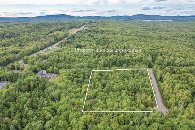 Beautiful Elevated Lot just outside the City of EllsworthThis 4 - photo 8