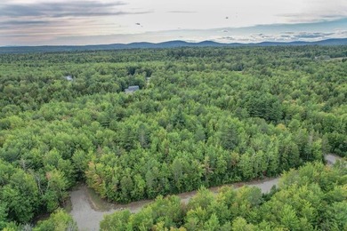 Beautiful Elevated Lot just outside the City of EllsworthThis 4 - photo 9