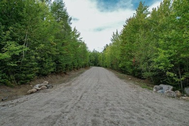 Beautiful Elevated Lot just outside the City of EllsworthThis 4 - photo 10