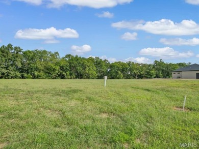 Discover the perfect lot for your dream home in the Legacy - photo 6