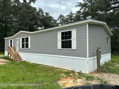 Withlacoochee River Home Sale Pending in Nobleton Florida