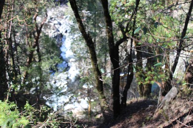 Lake Shasta Acreage For Sale in Round Mountain California