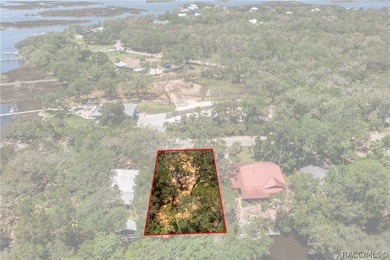 Own your own piece of paradise in Old Homosassa! This ideal - photo 2