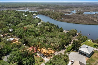 Own your own piece of paradise in Old Homosassa! This ideal - photo 3