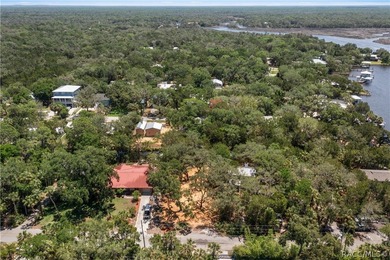 Own your own piece of paradise in Old Homosassa! This ideal - photo 4