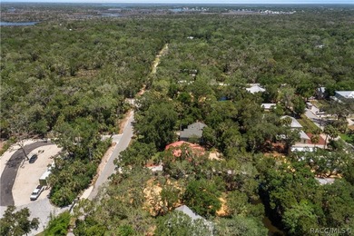 Own your own piece of paradise in Old Homosassa! This ideal - photo 5