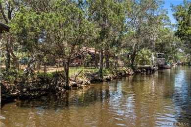 Own your own piece of paradise in Old Homosassa! This ideal - photo 8