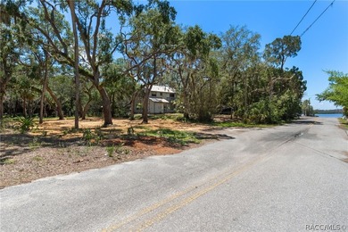 Own your own piece of paradise in Old Homosassa! This ideal - photo 10