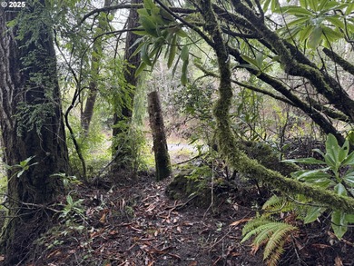 Coos Bay Lot For Sale in Northbend Oregon