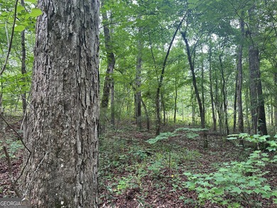 West Point Lake Acreage Sale Pending in Lagrange Georgia