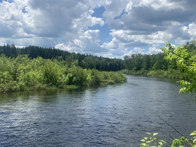 1000 ft water frontage on Fish river!! A recreational dream! - photo 2