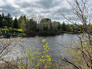 1000 ft water frontage on Fish river!! A recreational dream! - photo 3