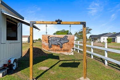 Welcome to The Salty Peach Farm, a rare turnkey homestead - photo 3
