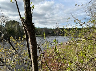 1000 ft water frontage on Fish river!! A recreational dream! - photo 5
