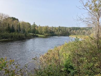 1000 ft water frontage on Fish river!! A recreational dream! - photo 6