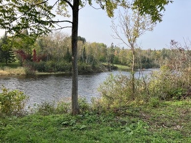 1000 ft water frontage on Fish river!! A recreational dream! - photo 8