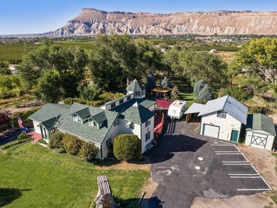 Colorado River Home For Sale in Palisade Colorado