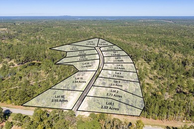 Welcome to Appling, Georgia's premier new luxury community - photo 2