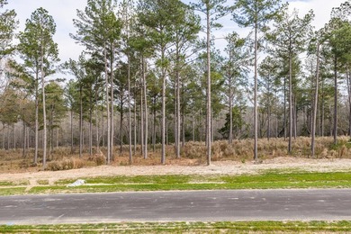 Welcome to Appling, Georgia's premier new luxury community - photo 4