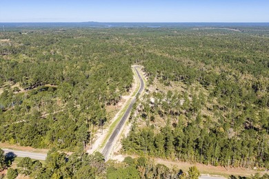 Welcome to Appling, Georgia's premier new luxury community - photo 6