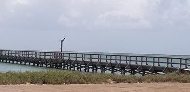 Amazing Bay Front lot in Holiday Beach. Enjoy beautiful sunsets - photo 9