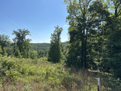 (private lake, pond, creek) Lot For Sale in Georgetown Tennessee
