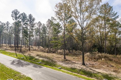 Welcome to Appling, Georgia's premier new luxury community - photo 4