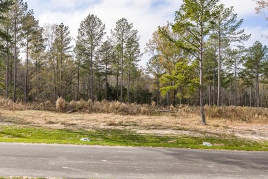 Welcome to Appling, Georgia's premier new luxury community - photo 5