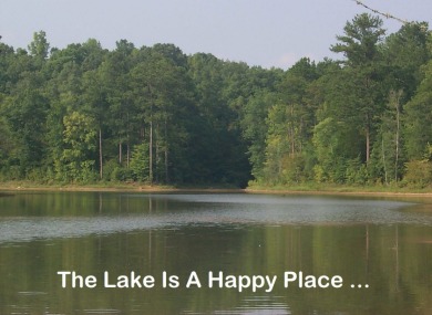 Lake Lot For Sale in Elberton, Georgia