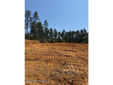1 cleared Acre with 800 sf Workshop, just installed 2 water - photo 1