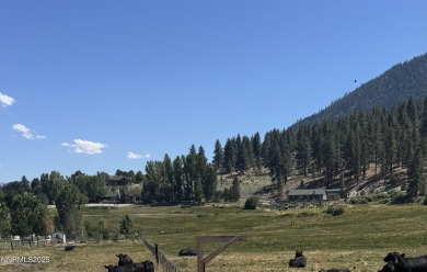 Lake Tahoe - Douglas County Acreage For Sale in Gardnerville Nevada
