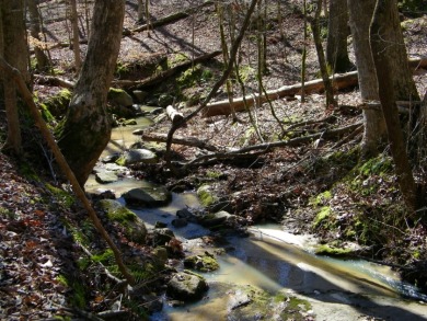 NICE 2.68 Acre Waterfront Lot @ Lake Russell - photo 11