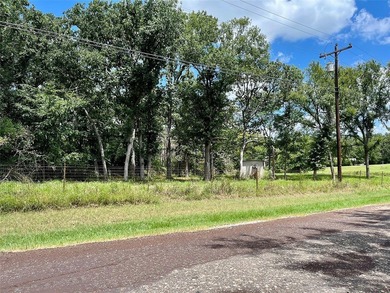 Welcome to beautiful blue skies at Summer Place Lake Limestone! - photo 5
