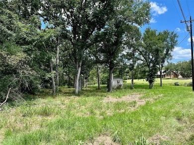 Welcome to beautiful blue skies at Summer Place Lake Limestone! - photo 6