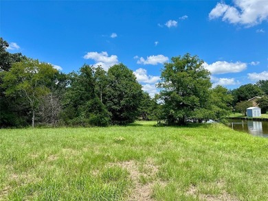 Welcome to beautiful blue skies at Summer Place Lake Limestone! - photo 8