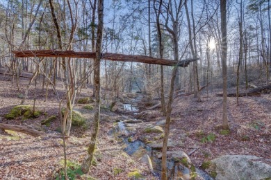 NICE 2.68 Acre Waterfront Lot @ Lake Russell - photo 12