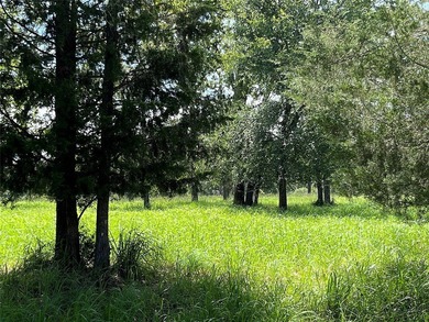 If you love clean, fresh air and wildlife then this is an - photo 7