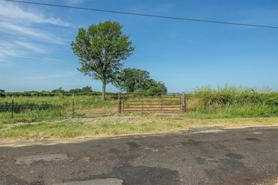 Beautiful .718 acre lot over looking Lake Limestonee build your - photo 2