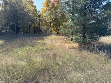 Lake Lot Sale Pending in Reed City, Michigan