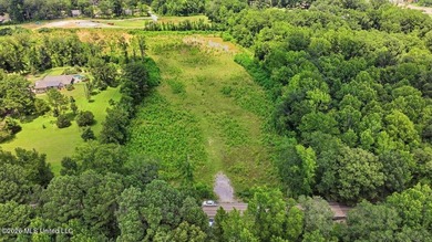 Rare opportunity to own approximately 17.65+/- acres in Brandon - photo 1
