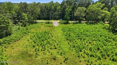 Rare opportunity to own approximately 17.65+/- acres in Brandon - photo 3