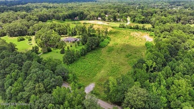 Rare opportunity to own approximately 17.65+/- acres in Brandon - photo 4